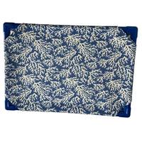 Coral Reef